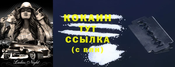 стаф Аркадак