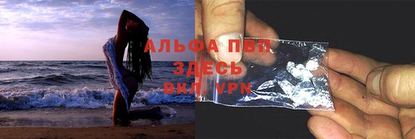 стаф Аркадак