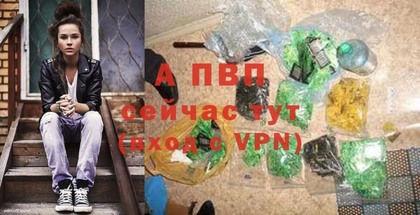 стаф Аркадак