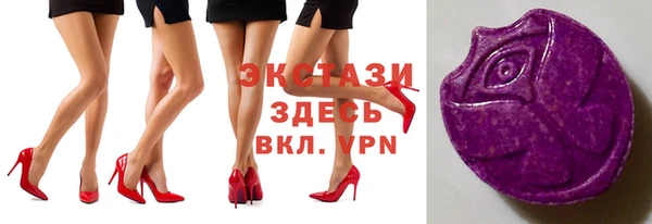 стаф Аркадак